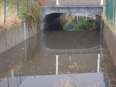 Plusieurs communes Flamandes passent en état de catastrophe...