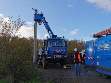 Un nichoir installé à Helfaut pour sauver une espèce de faucon menacée