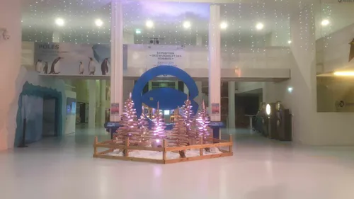 Nausicaà organise un marché de Noël sur son parvis, ce week-end