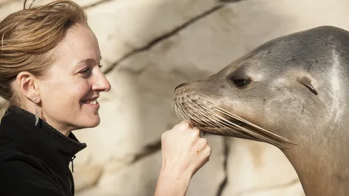 A partir du printemps, Nausicaà proposera de vivre "dans les pas...