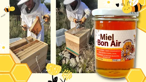 Grâce au travail de 30 000 abeilles, la ville a désormais son miel !