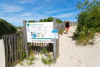 Les dunes Dunkerquoises sont fragiles, il faut les respecter