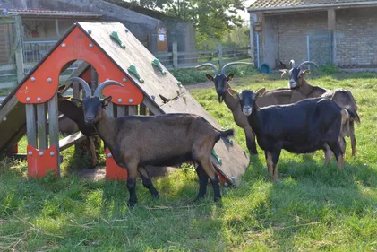 Coudekerque-Branche : la ville va lancer une expérience autour de...
