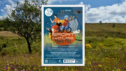 Desvres: ce dimanche, le Mont Pelé accueille la fête du sport et de...