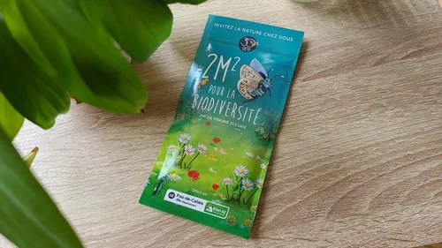 Pas-de-Calais: "2m² pour la biodiversité", Eden 62 offre des...