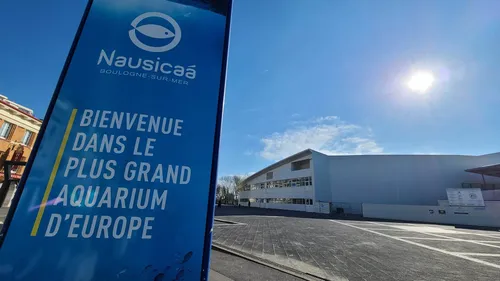 Cyberattaques: comment des entreprises comme Nausicaà se...