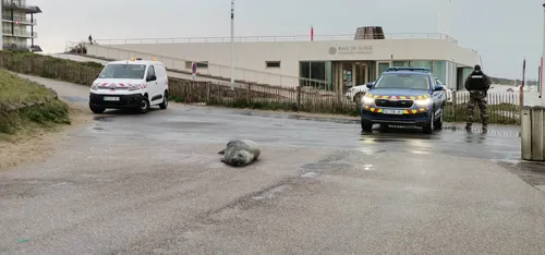 Circulation perturbée à Neufchâtel-Hardelot