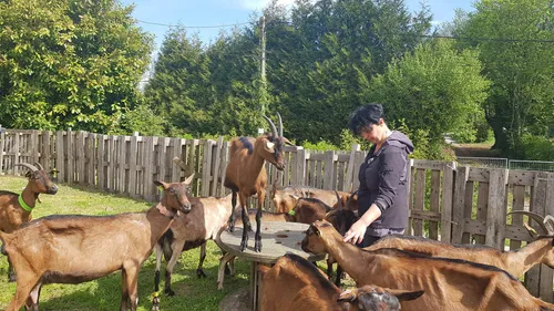 Reclinghem : la chev'riotte veut se développer et proposer une...