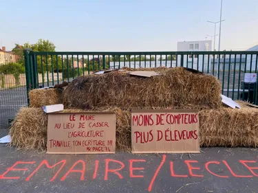 « On ne se laissera pas mourir sans réagir »
