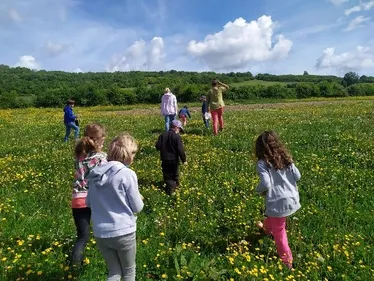 Audomarois : c'est le moment de déposer vos projets pour les...