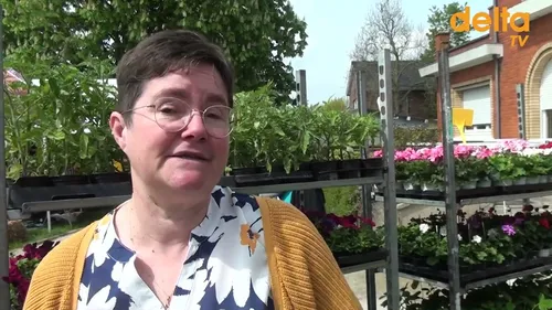 Premier marche du végétal de Looberghe