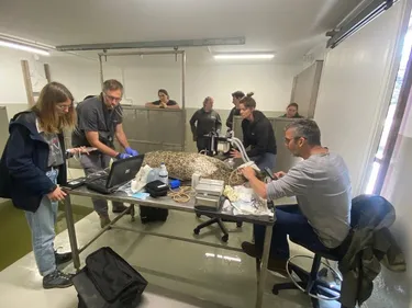 Une opération rarissime réalisée chez Bio-Topia