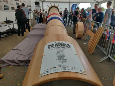 Le plus grand poivrier du monde est à Saint-Martin-Boulogne !