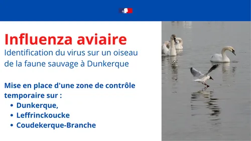 La Préfecture du Nord prend des mesures après un cas de grippe...