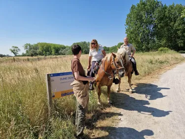 Les gardes du Littoral ressortent leur chevaux l’été pour protéger...