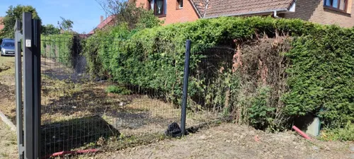 Un mégot mal éteint à Loon-Plage, une partie du jardin de son...