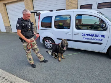 Sven, un gendarme qui a du flair du côté de la Compagnie...