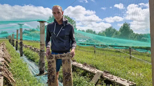 Clairmarais : aux Escargots du Marais, 200 000 petits gris pour...