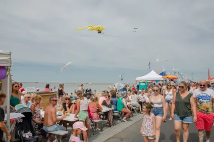 Grand-Fort-Philippe : Des centaines de cerfs-volants dans le ciel...