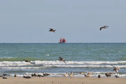 La baignade toujours interdite à Dunkerque