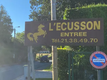 Blendecques : Les chevaux du centre de l'Ecusson ont tous trouvé...