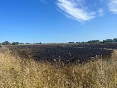L'incendie d'un champ à Rexpoëde a été maîtrisé