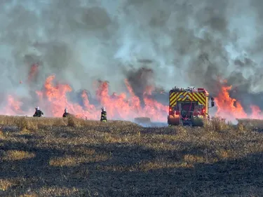 Un champ en flamme à Rexpoëde
