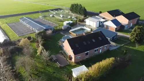 La SPA d'Hazebrouck aura bel et bien de nouveaux locaux