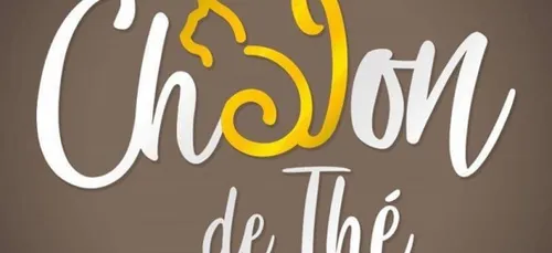 « Chalon de thé » : le premier bar à chat  prochainement ouvert à Metz