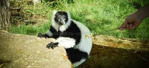 Nouvelle saison au Parc de Sainte-Croix