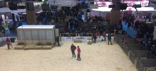 La Lorraine s'invite au Salon de l'Agriculture dans la joie... et...