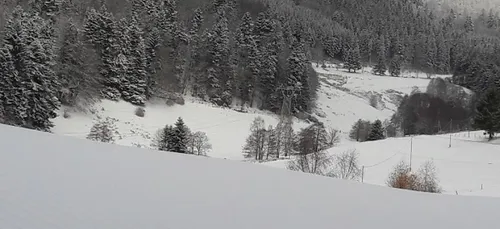 Lorraine : la neige attendue cette semaine en plaine