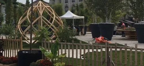 Un jardin éphémère revient embellir la place Stanislas de Nancy
