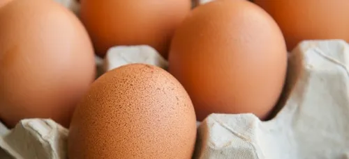 Oeufs contaminés au Fipronil : une boulangerie industrielle en...