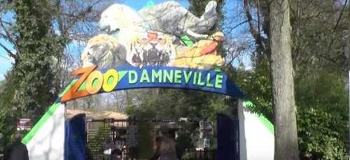 Deux pythons réticulés bientôt au zoo d'Amnéville