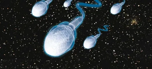 Nouvel appel au don de spermatozoïdes à Nancy