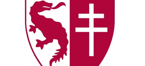 Le FC Metz écope finalement de trois points avec sursis