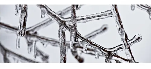 Activation du niveau 2 du Plan Grand Froid en Meurthe-et-Moselle