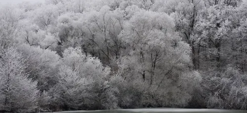 La neige s'installe en Lorraine