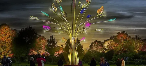 Amnéville s'illumine pour les fêtes de Noël