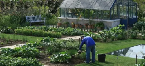 Les jardins de Laquenexy mettent en vente des plants fruitiers