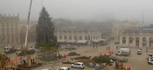 Le sapin de St Nicolas est arrivé place Stanislas à Nancy