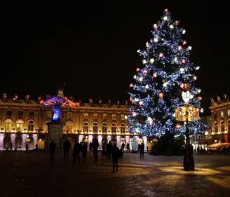 Le sapin Place Stanislas, a quitté Nancy aujourd'hui.