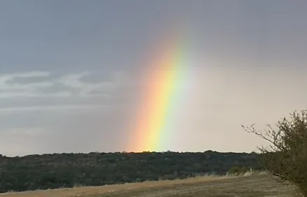 Sondage, c’est officiel. Les français sont heureux
