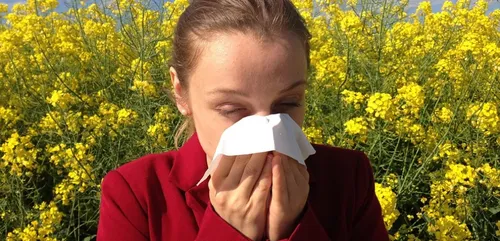Lorraine : les allergies au pollen sont bien là