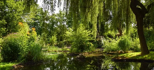 Nancy : plus de 20 000 personnes attendues au Parc Sainte-Marie