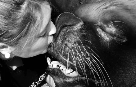 Zoo d'Amnéville : l'otarie Watson est morte ce week-end