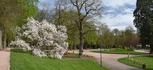 Nancy : le parc Sainte Marie et le Parc de la Pépinière ouverts...