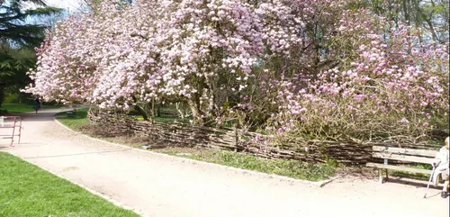 Nancy :  l'interdiction de fumer dans les parcs se généralise