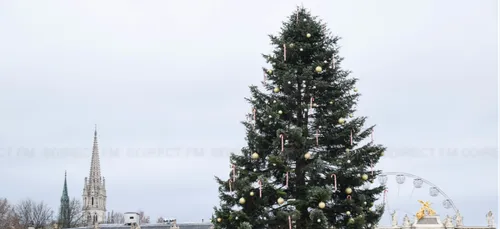 Nancy : Le sapin de Noël arrive aujourd'hui